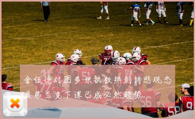 舍伍德对图多尔执教热刺持悲观态度弗兰克下课已成必然趋势