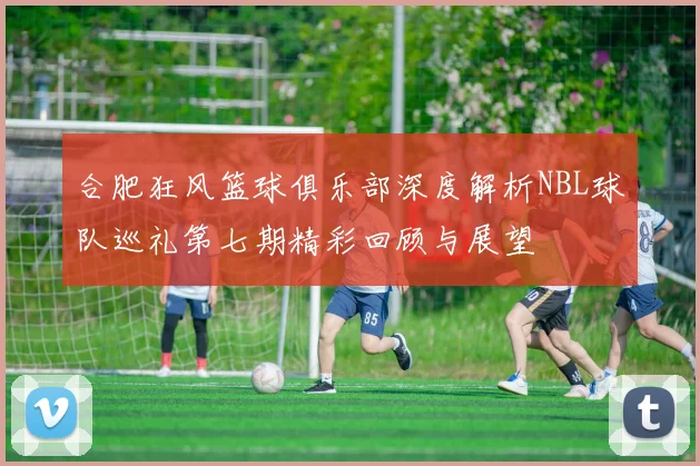 合肥狂风篮球俱乐部深度解析NBL球队巡礼第七期精彩回顾与展望