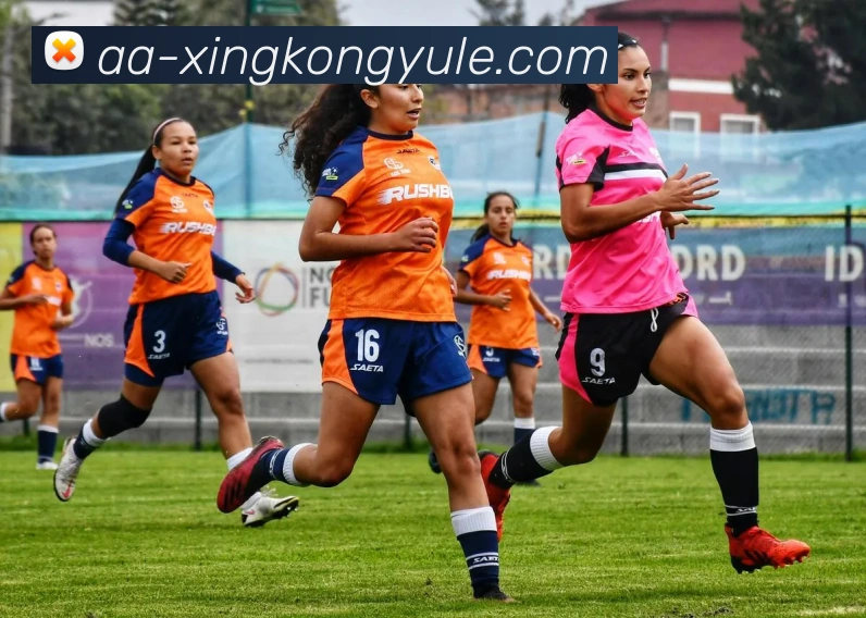 星空娱乐平台生态图